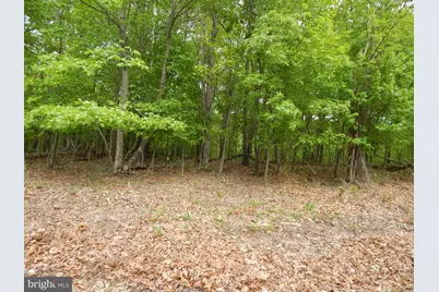 Plum Tree Lane, Berkeley Springs, WV 25411 - Photo 1
