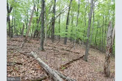 Plum Tree Lane, Berkeley Springs, WV 25411 - Photo 17