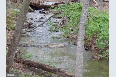 Plum Tree Lane, Berkeley Springs, WV 25411 - Photo 37