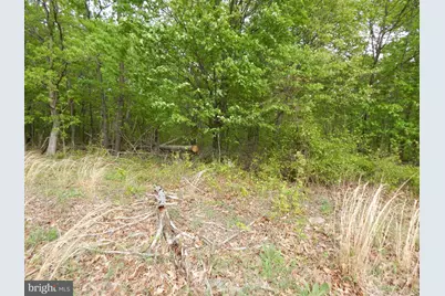 Plum Tree Lane, Berkeley Springs, WV 25411 - Photo 25
