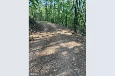 699 Chickloon Lane, Great Cacapon, WV 25422 - Photo 3