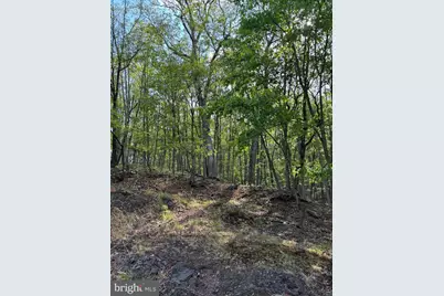 699 Chickloon Lane, Great Cacapon, WV 25422 - Photo 11