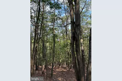 699 Chickloon Lane, Great Cacapon, WV 25422 - Photo 15