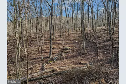 Ore Lane Lot #25, Berkeley Springs, WV 25411 - Photo 7
