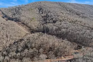 Ore Ln Lot, Berkeley Springs, WV 25411 - Photo 1