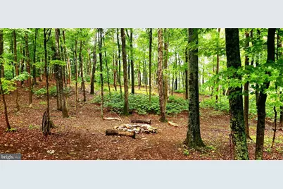 326 Preacher Lane, Great Cacapon, WV 25422 - Photo 77