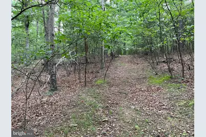 Fairview Oaks Way, Berkeley Springs, WV 25411 - Photo 49