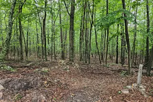 Saddle Ridge Ln, Hedgesville, WV 25427 - Photo 1