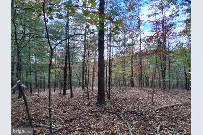 412 Hideaway Lane, Berkeley Springs, WV 25411 - Photo 31