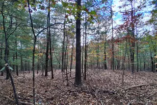 412 Hideaway Ln, Berkeley Springs, WV 25411 - Photo 31