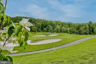 237 Foggy Bottom Ln, Berkeley Springs, WV 25411 - Photo 89