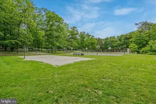 237 Foggy Bottom Ln, Berkeley Springs, WV 25411 - Photo 95