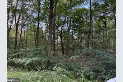 Cubby Hole Lane - Lot 25, Berkeley Springs, WV 25411 - Photo 1