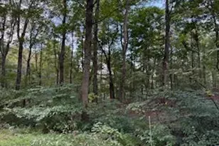 Cubby Hole Ln - Lot 25, Berkeley Springs, WV 25411 - Photo 1