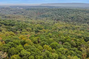 35 Warbler's Way, Berkeley Springs, WV 25411 - Photo 45