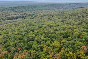 35 Warbler's Way, Berkeley Springs, WV 25411 - Photo 41