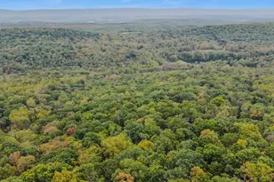 35 Warbler's Way, Berkeley Springs, WV 25411 - Photo 43