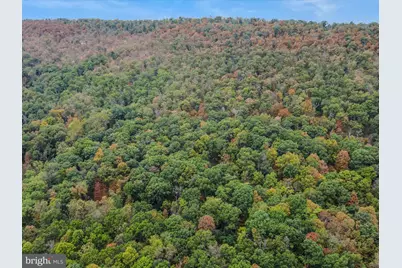 35 Warblers Way, Berkeley Springs, WV 25411 - Photo 51