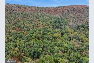 35 Warblers Way, Berkeley Springs, WV 25411 - Photo 49