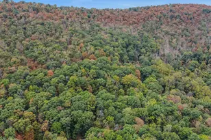 35 Warbler's Way, Berkeley Springs, WV 25411 - Photo 49