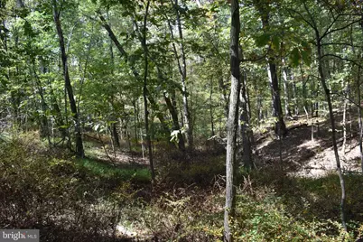 19 Mountain Laurel Drive, Berkeley Springs, WV 25411 - Photo 13