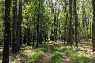 1971 Duckwall, Berkeley Springs, WV 25411 - Photo 67