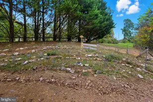 454 Barksdale Ln, Hedgesville, WV 25427 - Photo 51