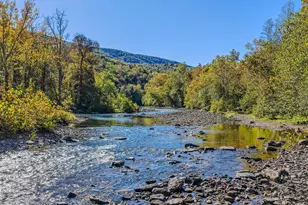 154 Brooklyn Way, Great Cacapon, WV 25422 - Photo 63