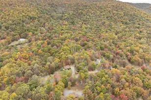 456 Parkside Terrace, Berkeley Springs, WV 25411 - Photo 23