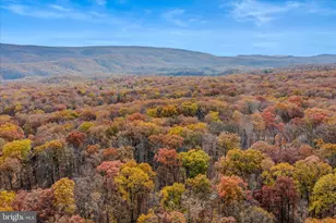 67 Tranquil Way, Great Cacapon, WV 25422 - Photo 33