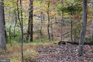 Feather Bed, Hedgesville, WV 25427 - Photo 1