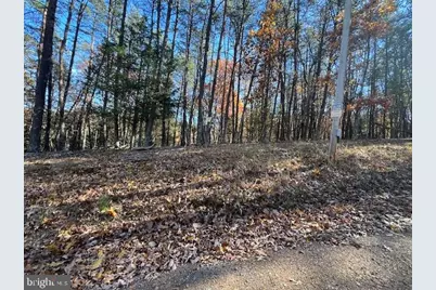 Runaway Court, Berkeley Springs, WV 25411 - Photo 11