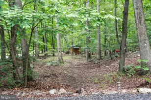 333 Rouse Mountain Rd, Great Cacapon, WV 25422 - Photo 37