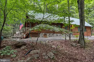 333 Rouse Mountain Rd, Great Cacapon, WV 25422 - Photo 49