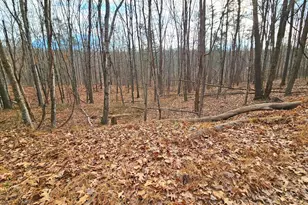 Lot 35 Oak Hill Rd, Berkeley Springs, WV 25411 - Photo 1