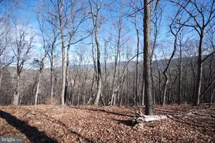 30 Cavalier Way, Great Cacapon, WV 25422 - Photo 69