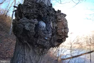 30 Cavalier Way, Great Cacapon, WV 25422 - Photo 37