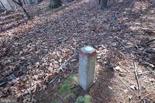 30 Cavalier Way, Great Cacapon, WV 25422 - Photo 45