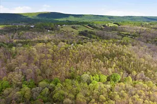 654 Soper Ln, Berkeley Springs, WV 25411 - Photo 137