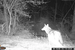 654 Soper Ln, Berkeley Springs, WV 25411 - Photo 69