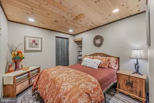 1636 Eckerd Ln, Berkeley Springs, WV 25411 - Photo 57