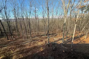 4352 Timber Ridge Rd, Berkeley Springs, WV 25411 - Photo 37