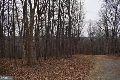 58 Birch Grove Lane, Berkeley Springs, WV 25411 - Photo 13