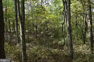 19 Mountain Laurel Dr, Berkeley Springs, WV 25411 - Photo 47