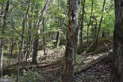 19 Mountain Laurel Drive, Berkeley Springs, WV 25411 - Photo 35