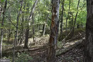 19 Mountain Laurel Dr, Berkeley Springs, WV 25411 - Photo 35