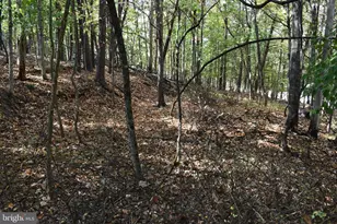 19 Mountain Laurel Dr, Berkeley Springs, WV 25411 - Photo 37