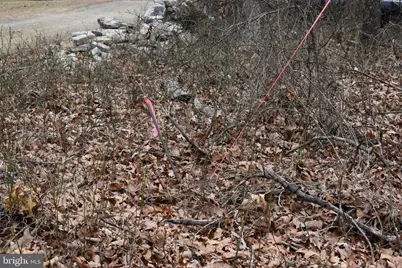 58 Birch Grove Lane, Berkeley Springs, WV 25411 - Photo 51