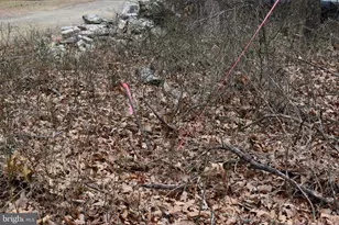 58 Birch Grove Ln, Berkeley Springs, WV 25411 - Photo 51