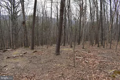 58 Birch Grove Lane, Berkeley Springs, WV 25411 - Photo 41